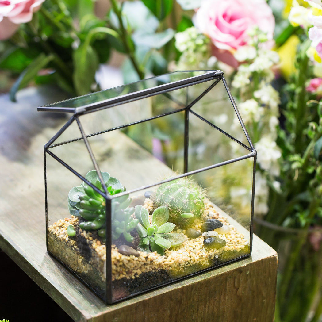 NCYP Vintage House Geometric Terrarium Tin Sealed Chest Planter Succulent Centerpiece Wedding - ncypgarden.uk