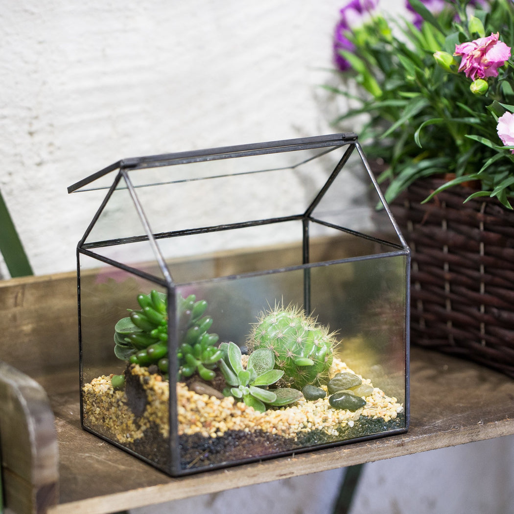NCYP Vintage House Geometric Terrarium Tin Sealed Chest Planter Succulent Centerpiece Wedding - ncypgarden.uk