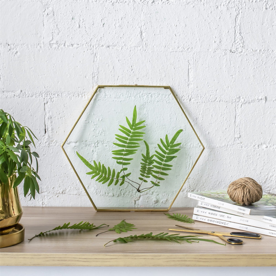 Hanging Hexagon Herbarium Brass Glass Frame for Pressed Flowers Dried Flowers Floating Frame - ncypgarden.uk