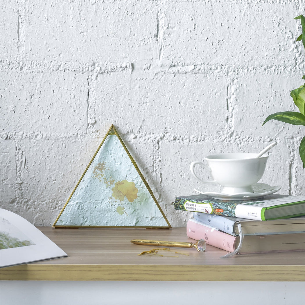 Hanging Triangle Herbarium Brass Glass Frame for Pressed Flowers Dried Flowers Poster - ncypgarden.uk