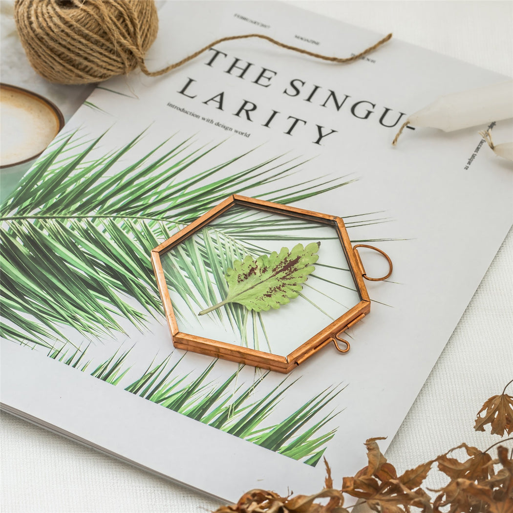 Hanging Small Pink Hexagon Herbarium Copper Glass Frame for Pressed Flowers Dried Flowers - ncypgarden.uk