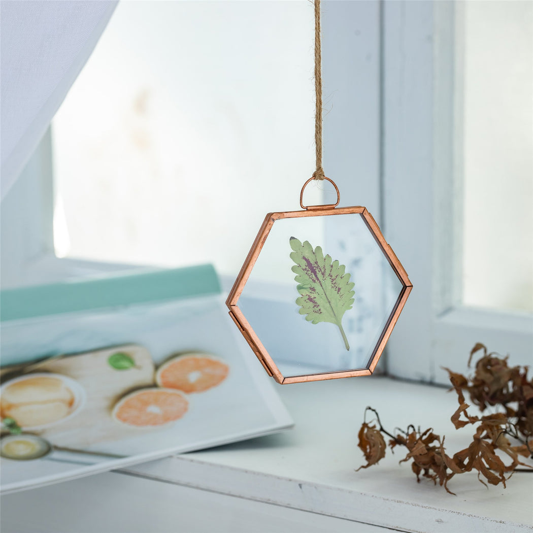 Hanging Small Pink Hexagon Herbarium Copper Glass Frame for Pressed Flowers Dried Flowers - ncypgarden.uk