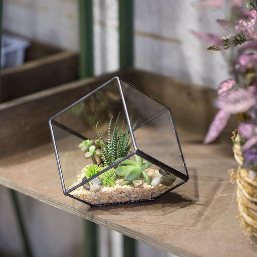Handmade 10cm Inclined Cube Vase Glass Geometric Terrarium Tabletop Flowerpot for Garden Succulents - ncypgarden.uk