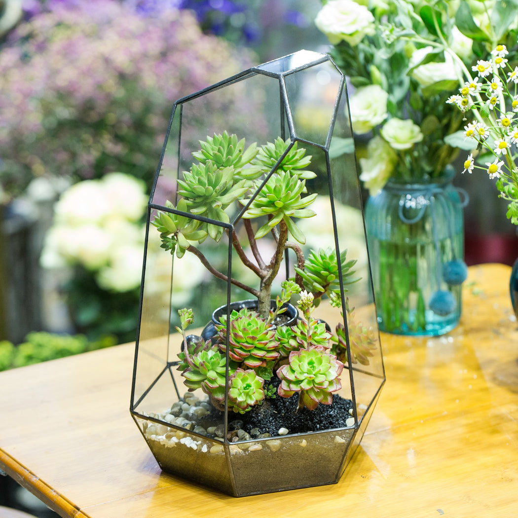 Handmade Black Various Size Irregular Tall Geometric Glass Terrarium Garden Succulents - ncypgarden.uk