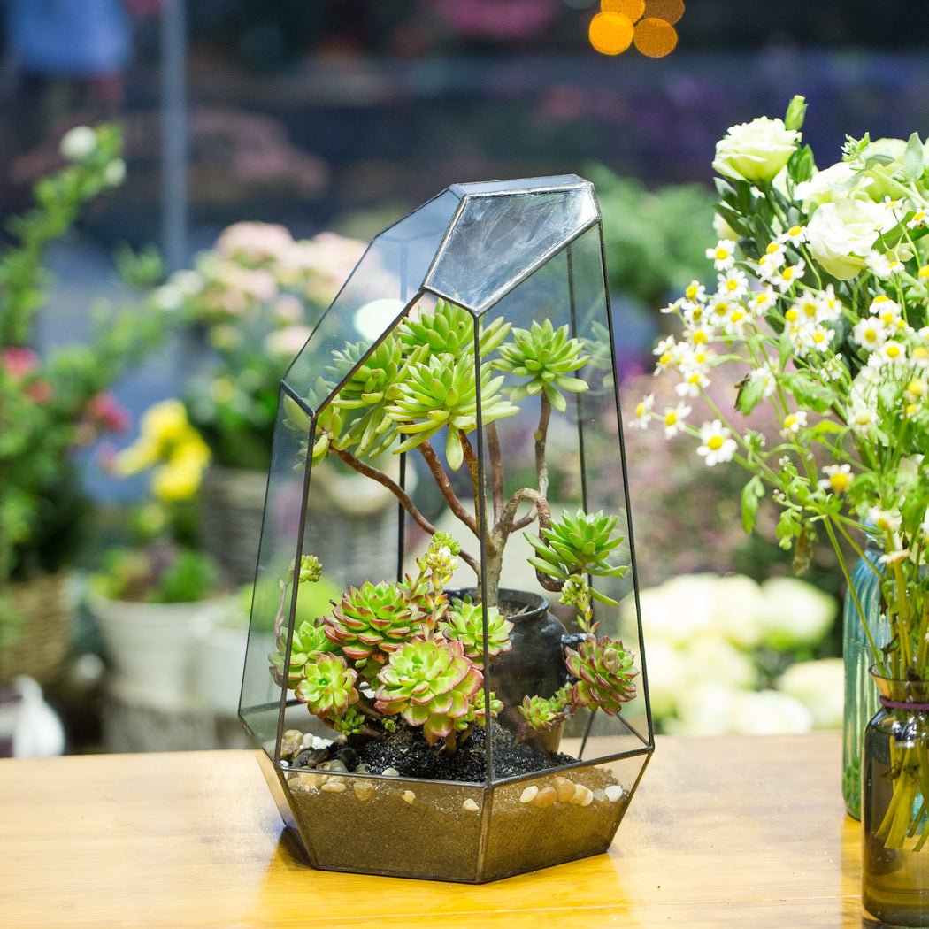 Handmade Black Various Size Irregular Tall Geometric Glass Terrarium Garden Succulents - ncypgarden.uk