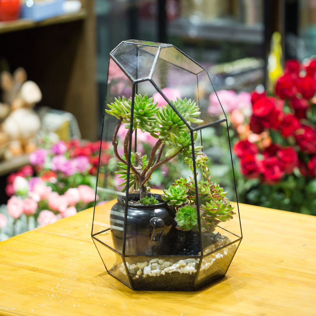 Handmade Black Various Size Irregular Tall Geometric Glass Terrarium Garden Succulents - ncypgarden.uk