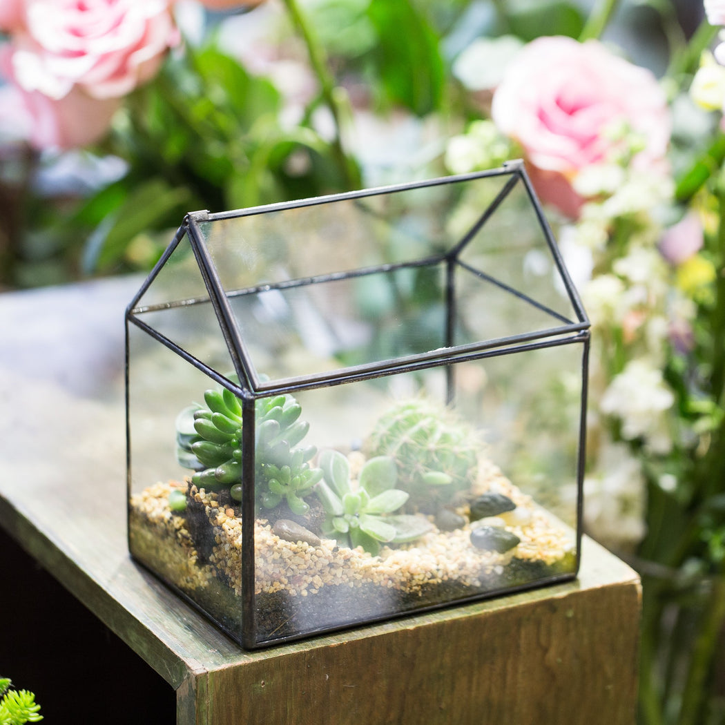 NCYP Vintage House Geometric Terrarium Tin Sealed Chest Planter Succulent Centerpiece Wedding - ncypgarden.uk