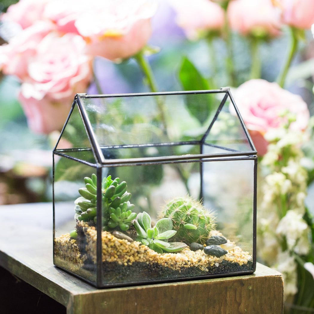 NCYP Vintage House Geometric Terrarium Tin Sealed Chest Planter Succulent Centerpiece Wedding - ncypgarden.uk