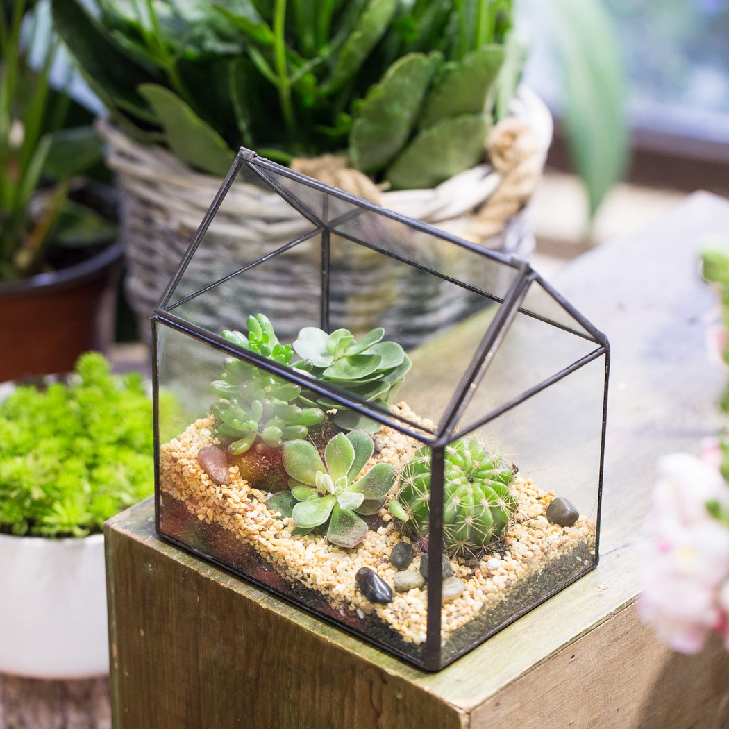 NCYP Vintage House Geometric Terrarium Tin Sealed Chest Planter Succulent Centerpiece Wedding - ncypgarden.uk