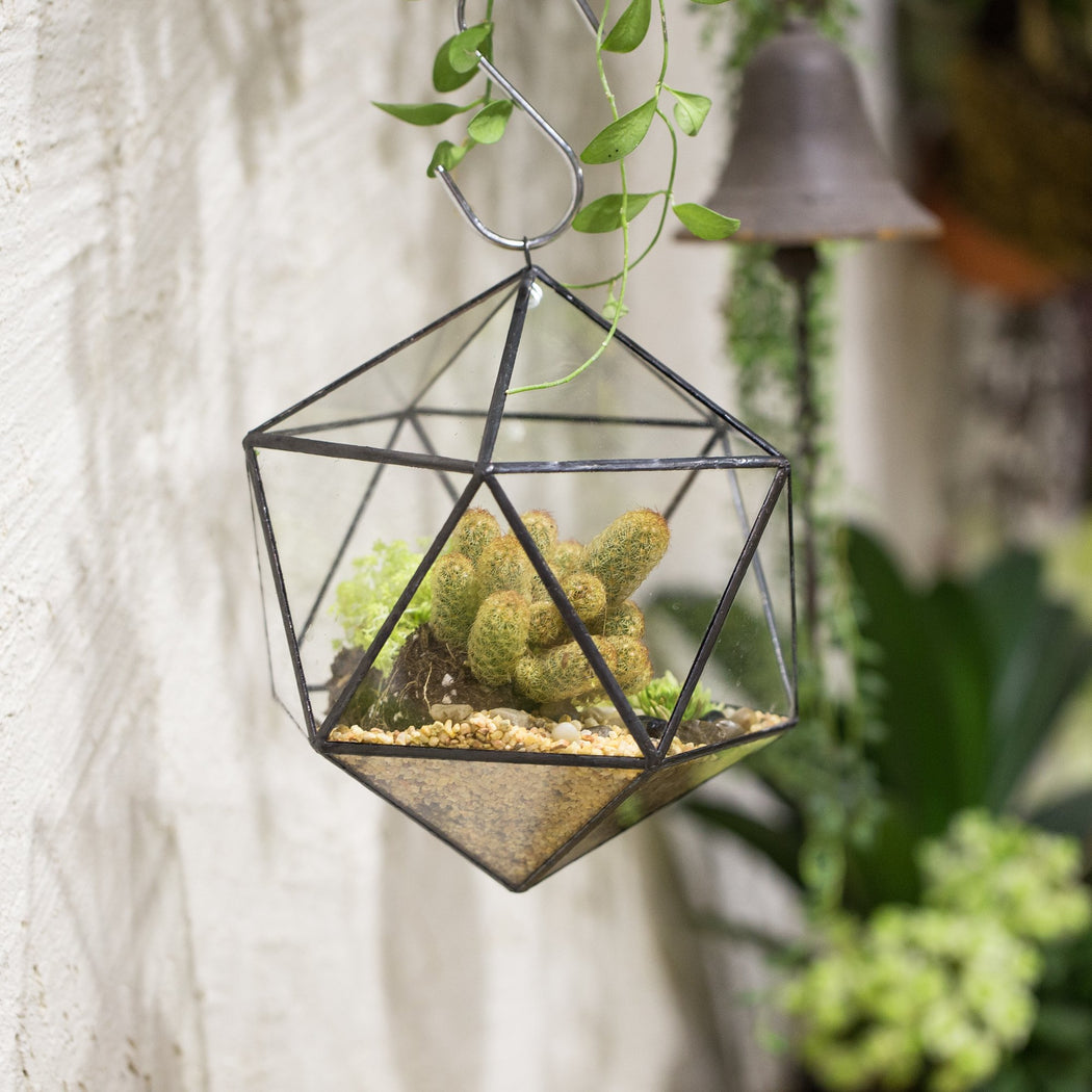 NCYP Wall Hanging Glass Geometric Terrarium Modern Handmade Planter Tabletop Balcony Landschaft Flower Pot Air Plants Holder Display Container - ncypgarden.uk