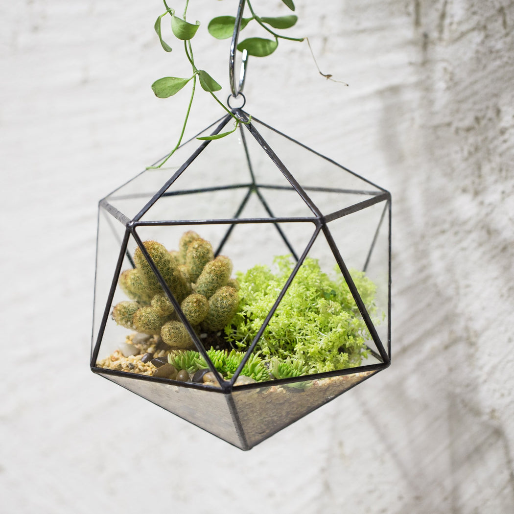 NCYP Wall Hanging Glass Geometric Terrarium Modern Handmade Planter Tabletop Balcony Landschaft Flower Pot Air Plants Holder Display Container - ncypgarden.uk