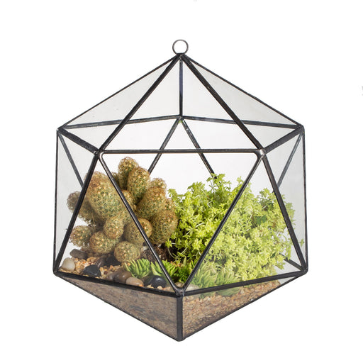 NCYP Wall Hanging Glass Geometric Terrarium Modern Handmade Planter Tabletop Balcony Landschaft Flower Pot Air Plants Holder Display Container - ncypgarden.uk