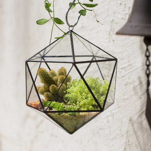 NCYP Wall Hanging Glass Geometric Terrarium Modern Handmade Planter Tabletop Balcony Landschaft Flower Pot Air Plants Holder Display Container - ncypgarden.uk