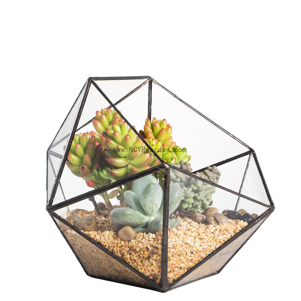 Handmade Bowl Shape Geometric Glass Terrarium for Garden Plants Succulents Moss Airplants - ncypgarden.uk