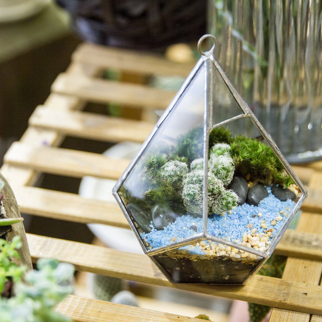 Handmade Sliver Artistic Hanging Glass Teardrop Diamond Geometric Terrarium with Loop for Succulent Moss - ncypgarden.uk