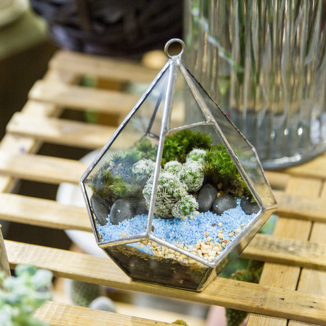 Handmade Sliver Artistic Hanging Glass Teardrop Diamond Geometric Terrarium with Loop for Succulent Moss - ncypgarden.uk