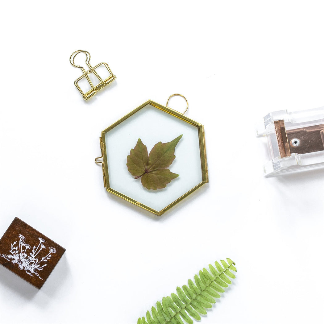 Handmade Vintage Brass Floating Hanging Glass Hexagon Picture Photo Frame Small Side Length 2" - ncypgarden.uk