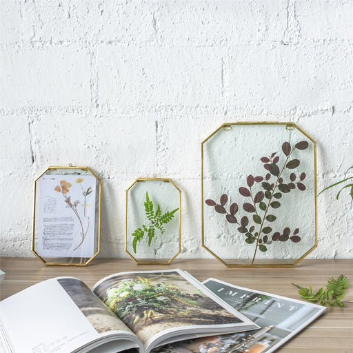 Wall Hanging Long Octagon Herbarium Brass Glass Frame for Pressed Flowers Dried floating Frame - ncypgarden.uk