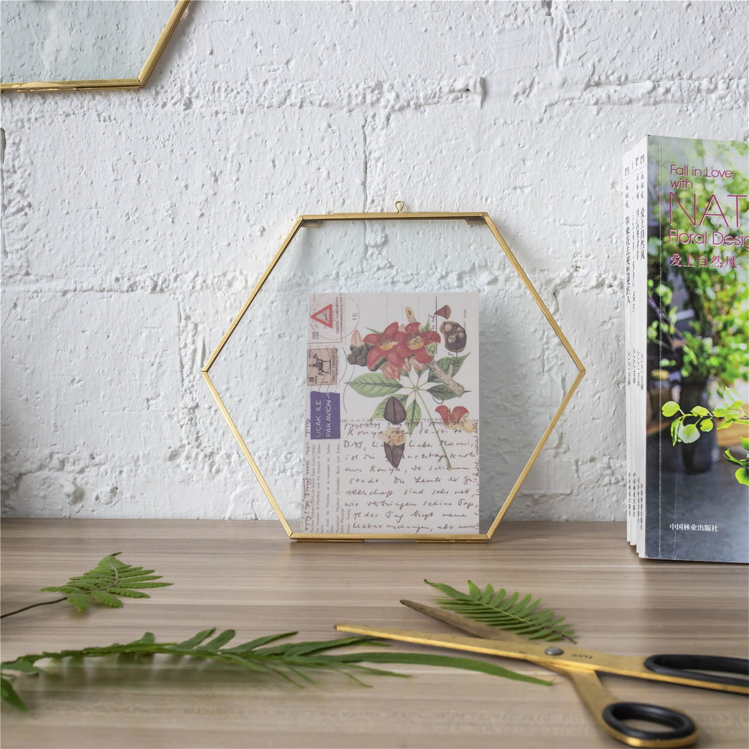 Hanging Hexagon Herbarium Brass Glass Frame for Pressed Flowers Dried Flowers Floating Frame - ncypgarden.uk