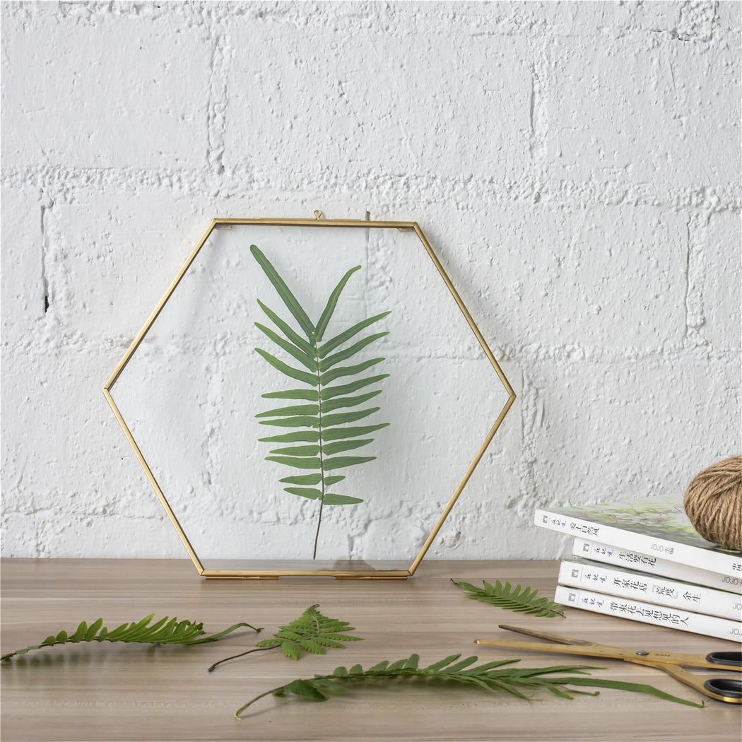 Hanging Hexagon Herbarium Brass Glass Frame for Pressed Flowers Dried Flowers Floating Frame - ncypgarden.uk