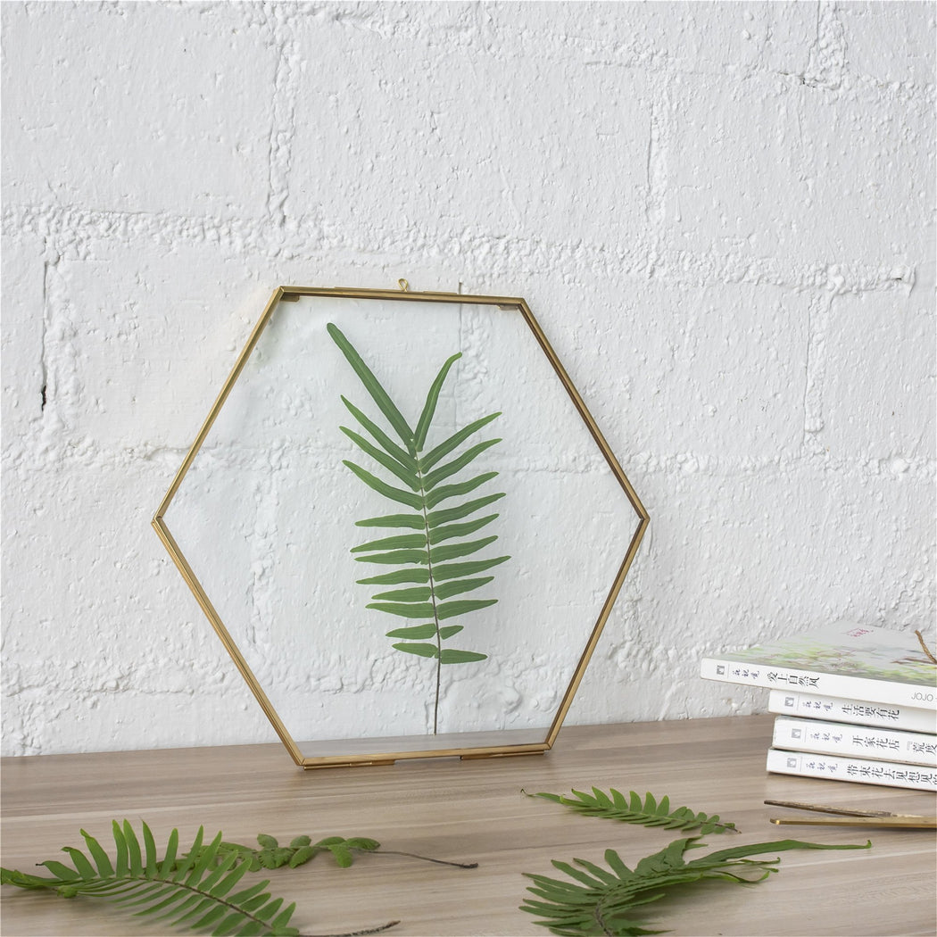 Hanging Hexagon Herbarium Brass Glass Frame for Pressed Flowers Dried Flowers Floating Frame - ncypgarden.uk