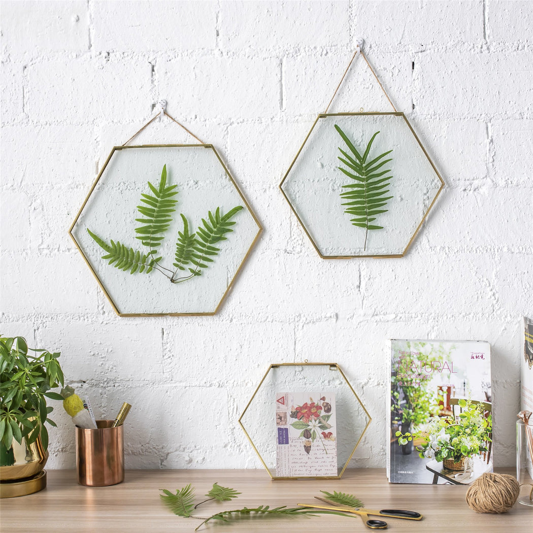 Hanging Hexagon Herbarium Brass Glass Frame for Pressed Flowers Dried Flowers Floating Frame - ncypgarden.uk