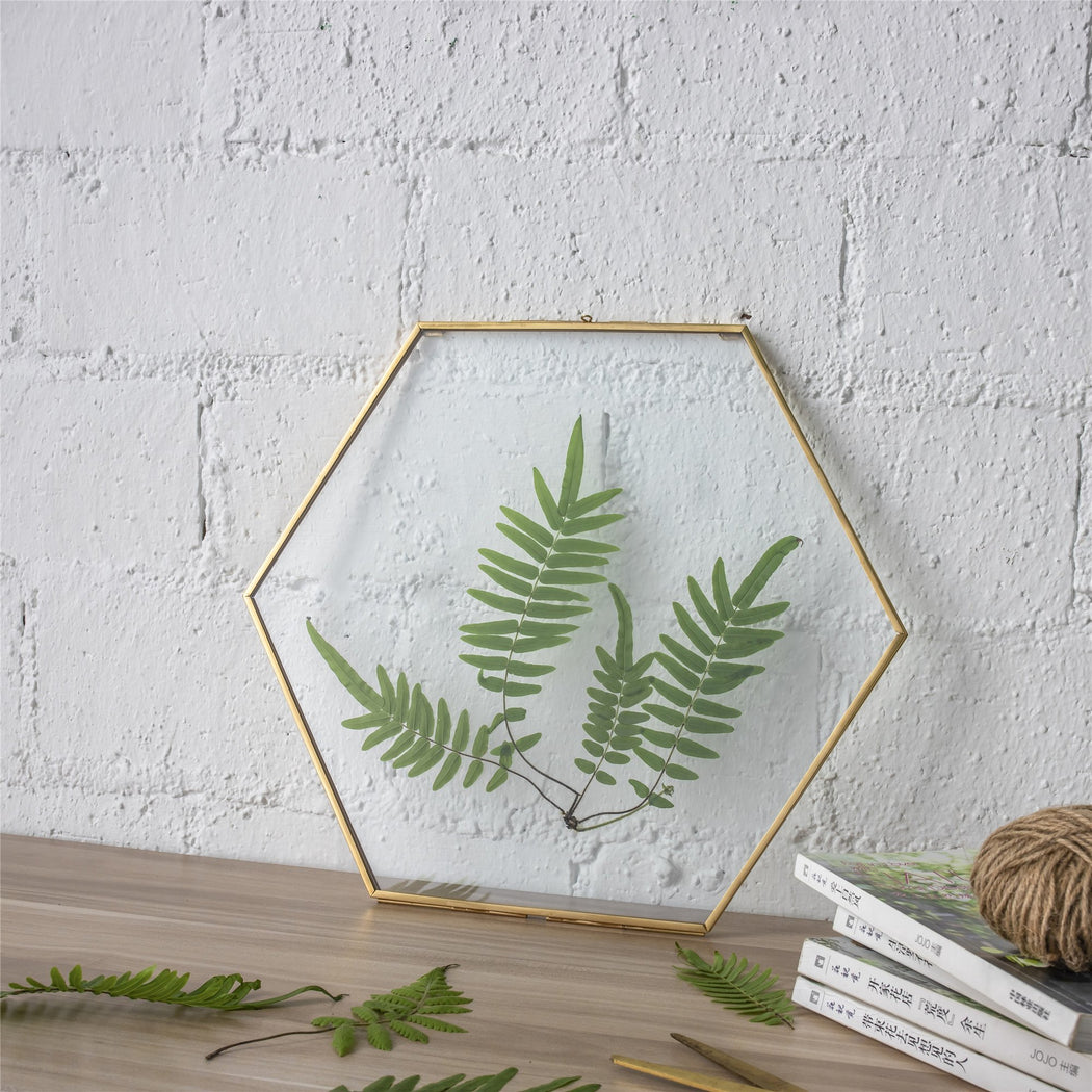 Hanging Hexagon Herbarium Brass Glass Frame for Pressed Flowers Dried Flowers Floating Frame - ncypgarden.uk