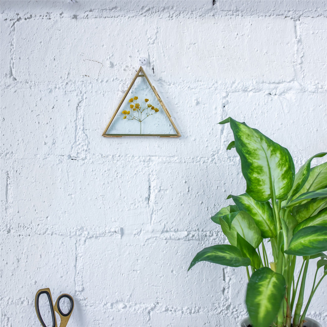 Hanging Triangle Herbarium Brass Glass Frame for Pressed Flowers Dried Flowers Poster - ncypgarden.uk