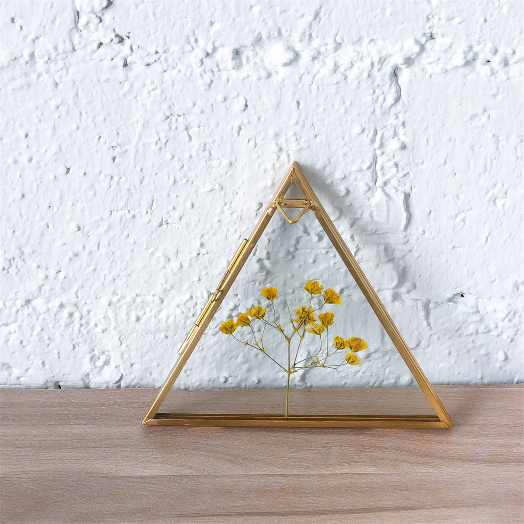 Hanging Triangle Herbarium Brass Glass Frame for Pressed Flowers Dried Flowers Poster - ncypgarden.uk