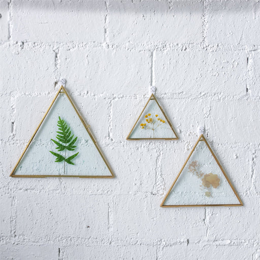 Hanging Triangle Herbarium Brass Glass Frame for Pressed Flowers Dried Flowers Poster - ncypgarden.uk