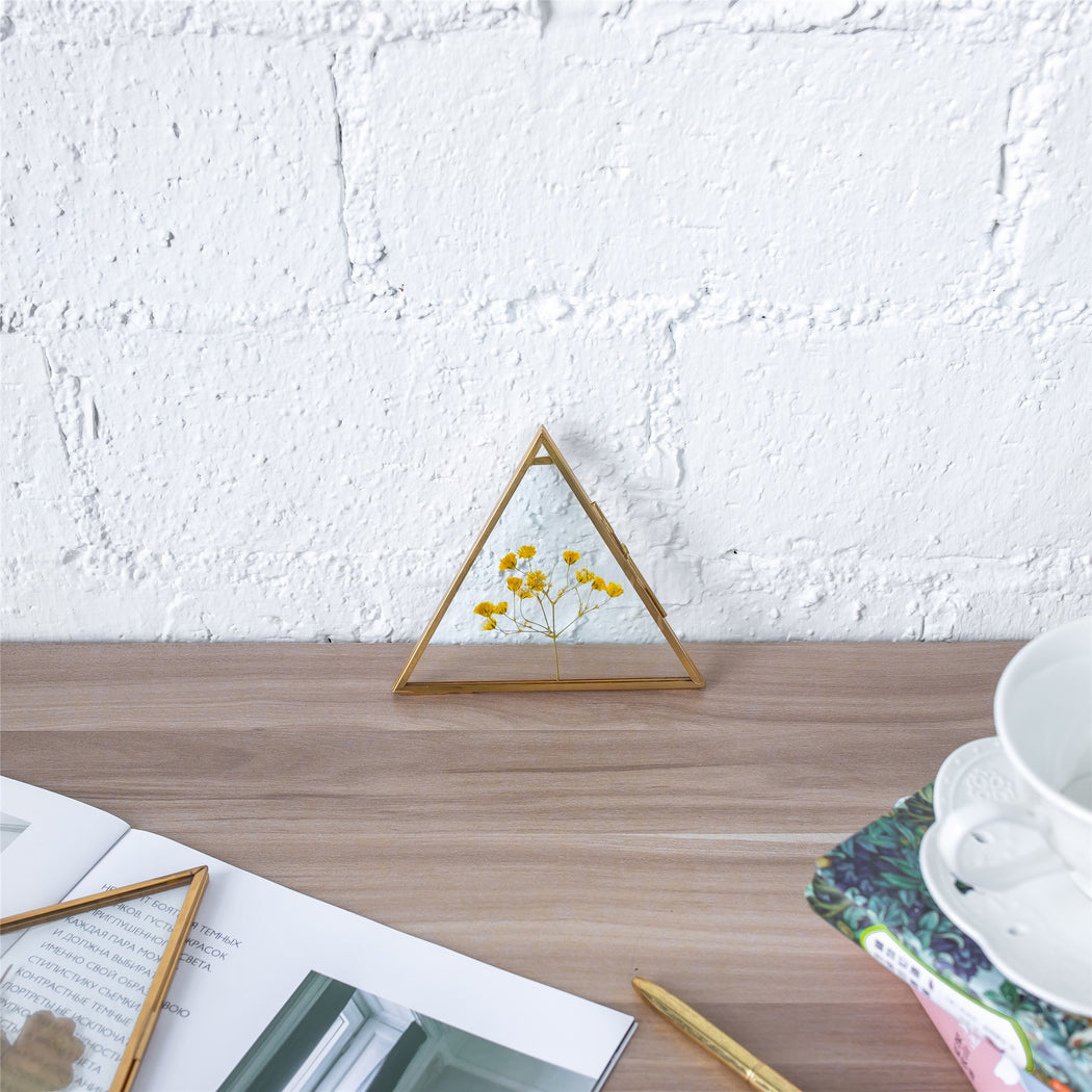 Hanging Triangle Herbarium Brass Glass Frame for Pressed Flowers Dried Flowers Poster - ncypgarden.uk