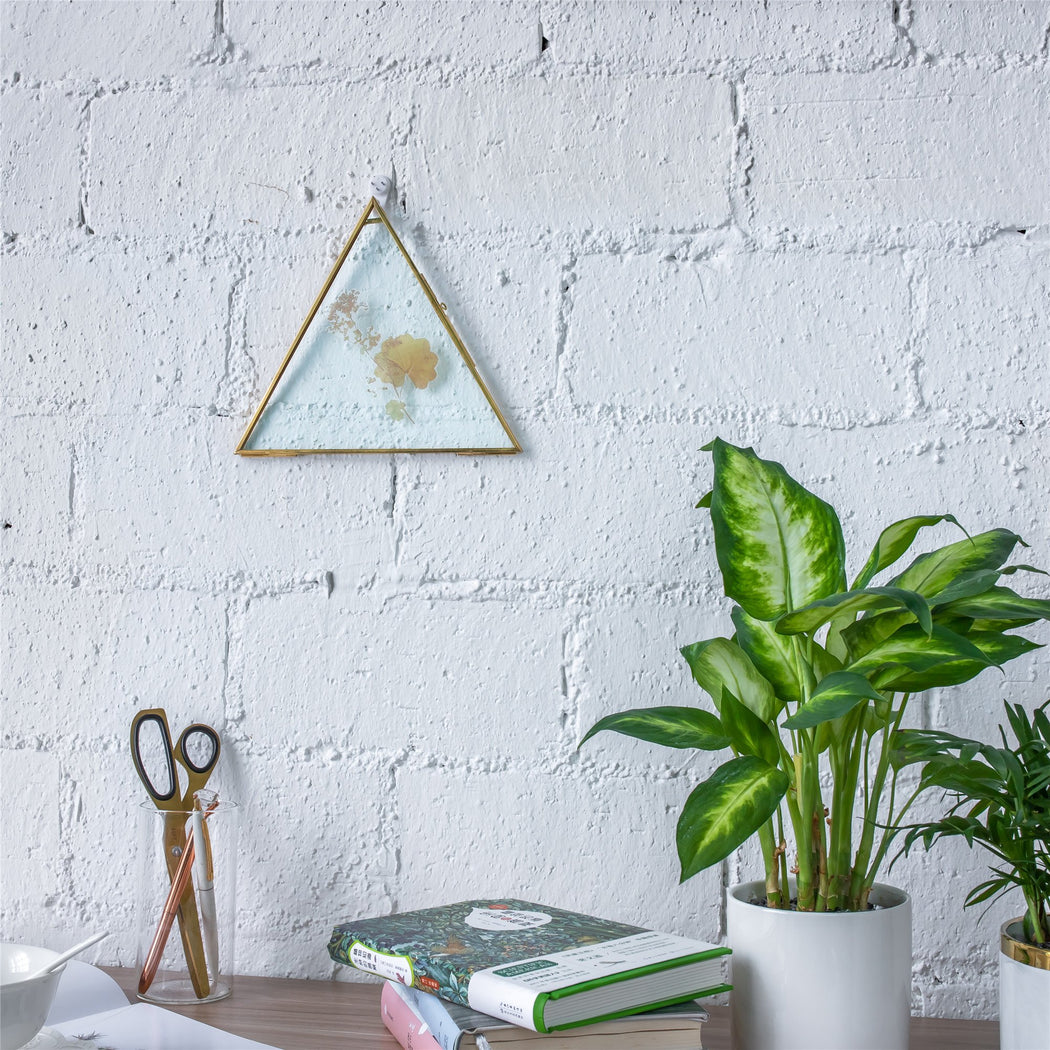 Hanging Triangle Herbarium Brass Glass Frame for Pressed Flowers Dried Flowers Poster - ncypgarden.uk