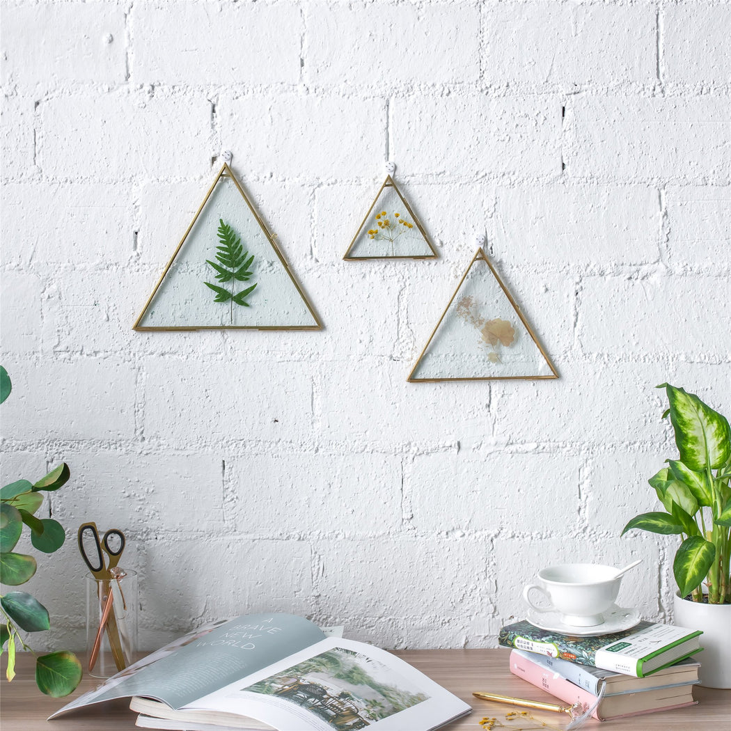 Hanging Triangle Herbarium Brass Glass Frame for Pressed Flowers Dried Flowers Poster - ncypgarden.uk