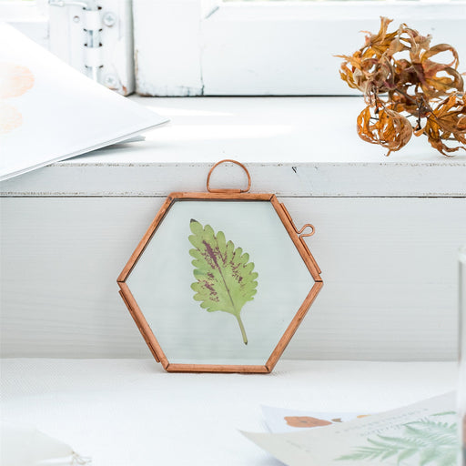 Hanging Small Pink Hexagon Herbarium Copper Glass Frame for Pressed Flowers Dried Flowers - ncypgarden.uk