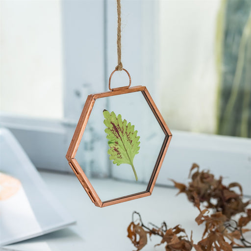 Hanging Small Pink Hexagon Herbarium Copper Glass Frame for Pressed Flowers Dried Flowers - ncypgarden.uk