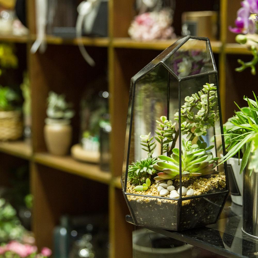 Handmade Black Various Size Irregular Tall Geometric Glass Terrarium Garden Succulents - ncypgarden.uk