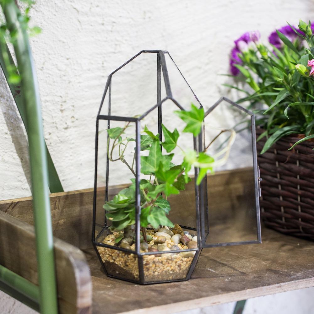 Handmade Black Various Size Irregular Tall Geometric Glass Terrarium Garden Succulents - ncypgarden.uk