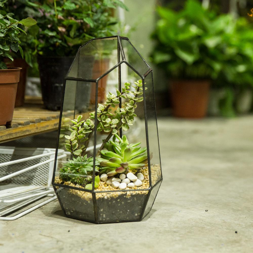 uk terrarium plants Handmade Black Various Size Irregular Tall Geometric Glass Terrarium G —  ncypgarden.uk