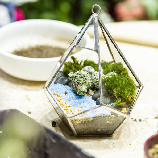 Handmade Sliver Artistic Hanging Glass Teardrop Diamond Geometric Terrarium with Loop for Succulent Moss - ncypgarden.uk