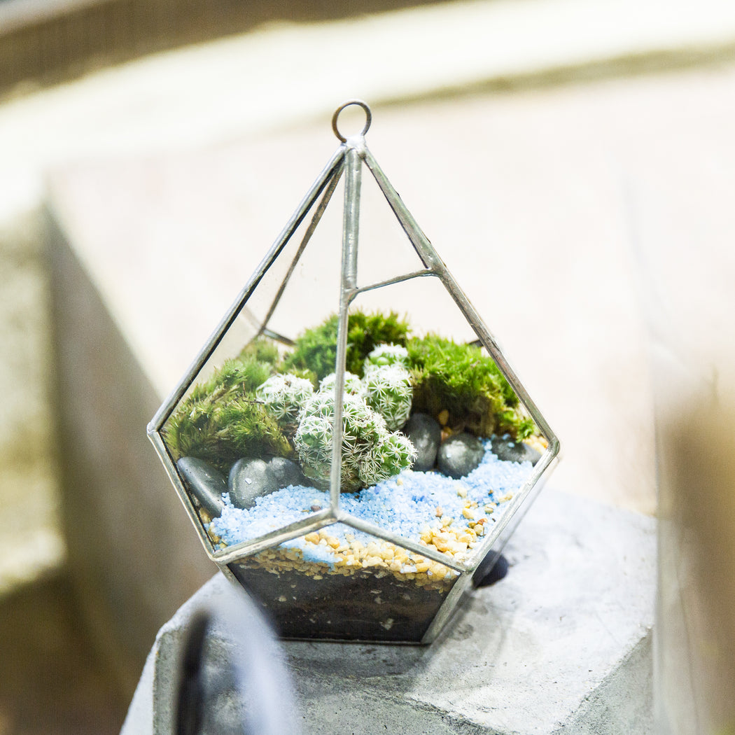 Handmade Sliver Artistic Hanging Glass Teardrop Diamond Geometric Terrarium with Loop for Succulent Moss - ncypgarden.uk