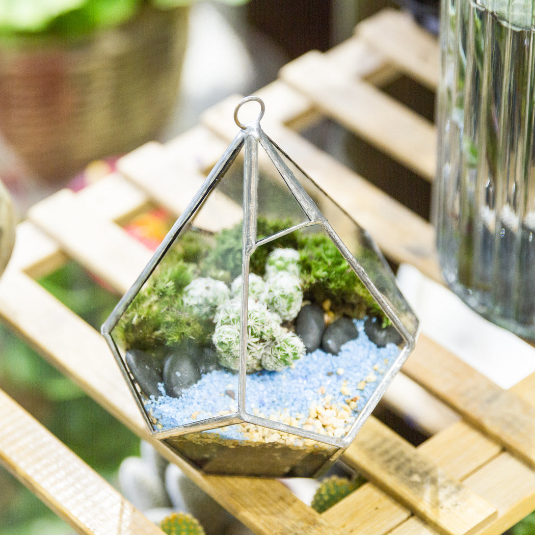 Handmade Sliver Artistic Hanging Glass Teardrop Diamond Geometric Terrarium with Loop for Succulent Moss - ncypgarden.uk