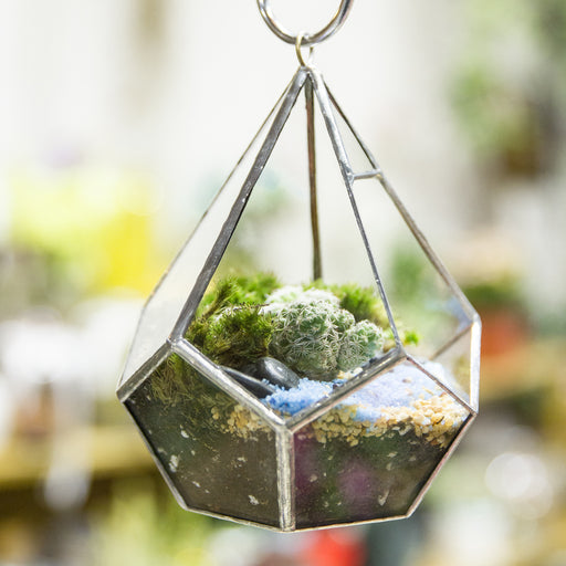 Handmade Sliver Artistic Hanging Glass Teardrop Diamond Geometric Terrarium with Loop for Succulent Moss - ncypgarden.uk