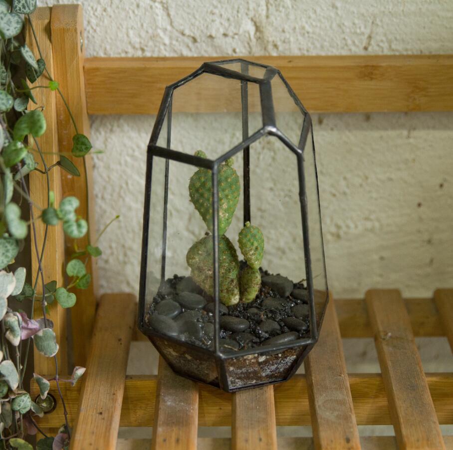 Handmade Black Various Size Irregular Tall Geometric Glass Terrarium Garden Succulents - ncypgarden.uk
