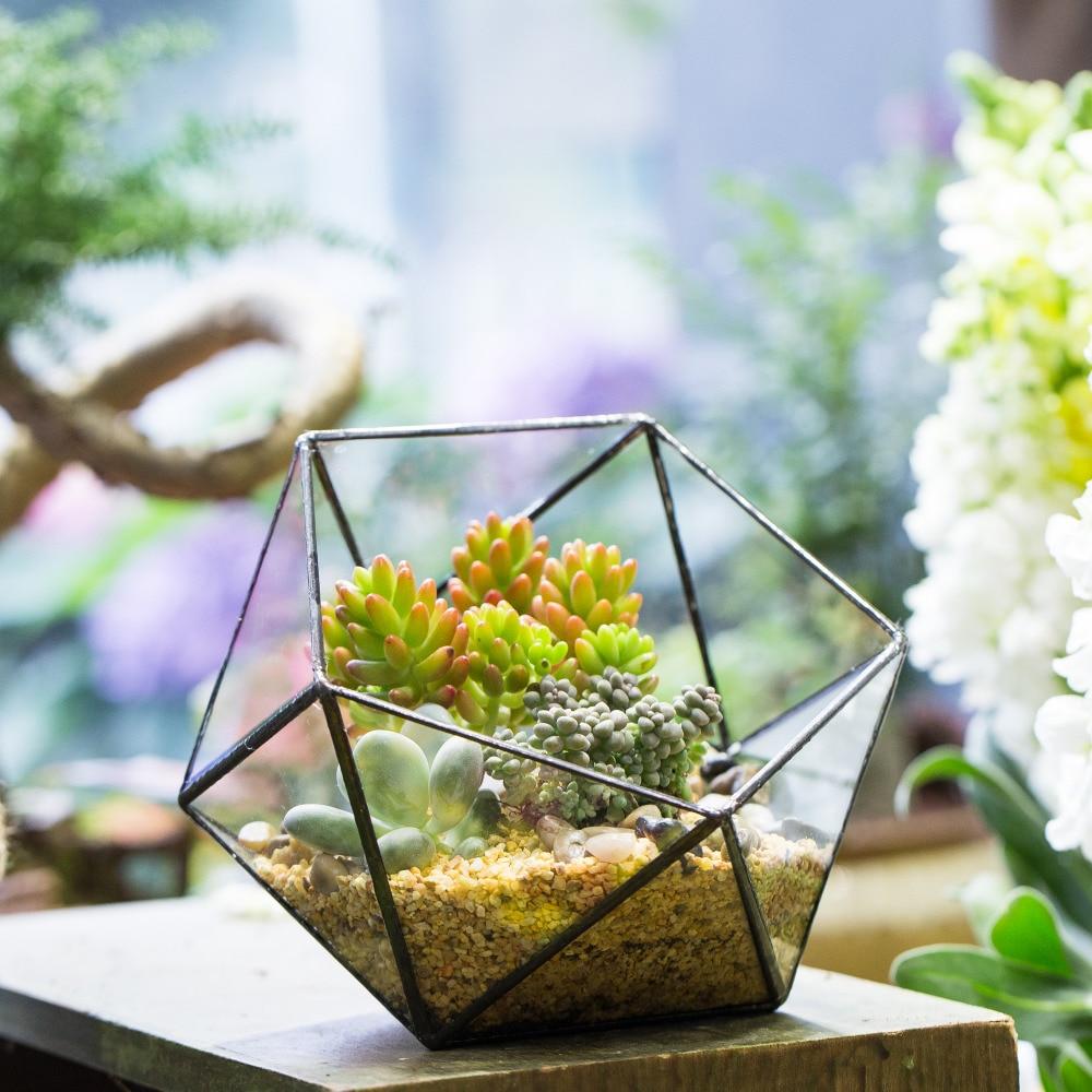 Handmade Bowl Shape Geometric Glass Terrarium Pot for Plants Succulent Moss Miniature Airplants - ncypgarden.uk