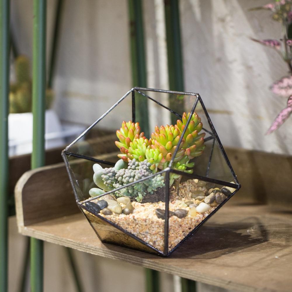 Handmade Bowl Shape Geometric Glass Terrarium Pot for Plants Succulent Moss Miniature Airplants - ncypgarden.uk