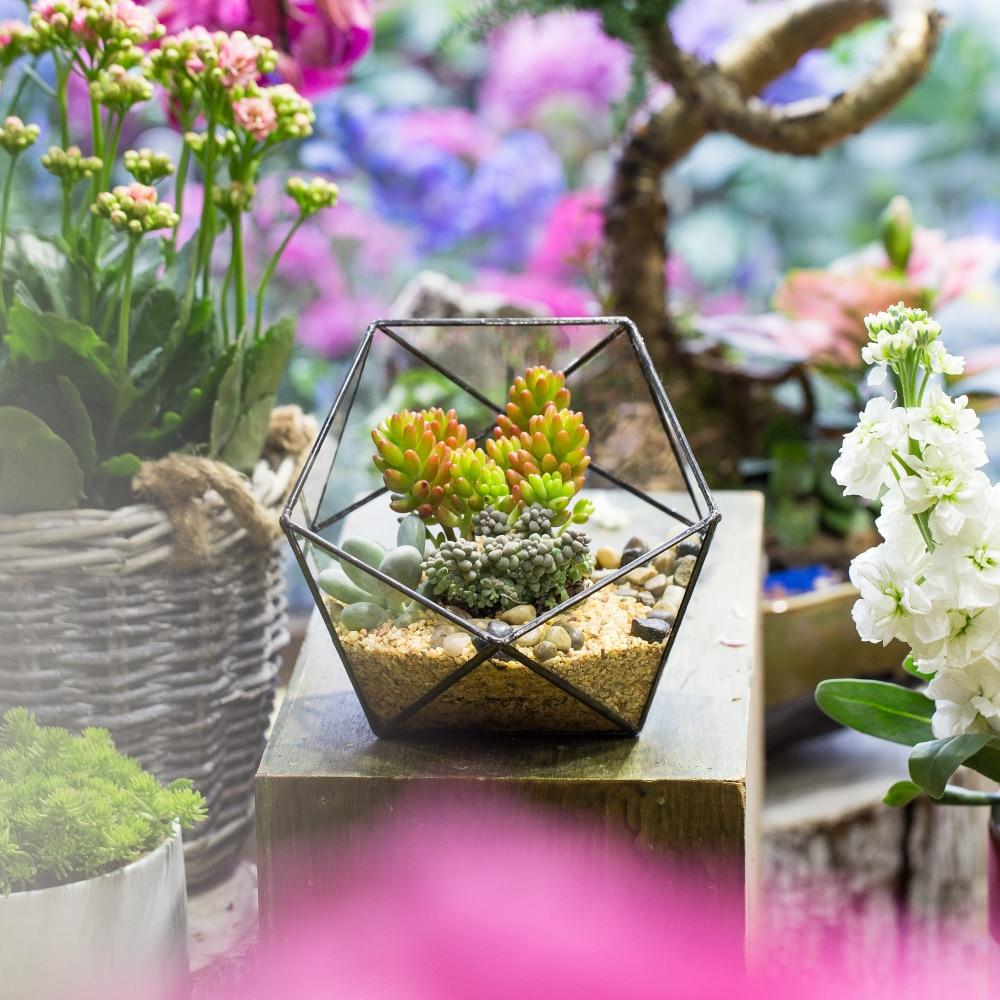 Handmade Bowl Shape Geometric Glass Terrarium Pot for Plants Succulent Moss Miniature Airplants - ncypgarden.uk