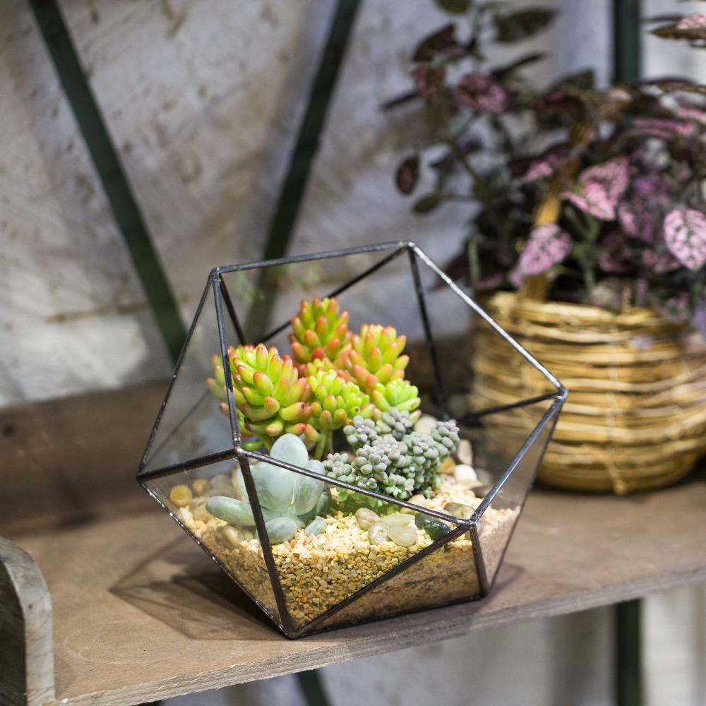 Handmade Bowl Shape Geometric Glass Terrarium Pot for Plants Succulent Moss Miniature Airplants - ncypgarden.uk