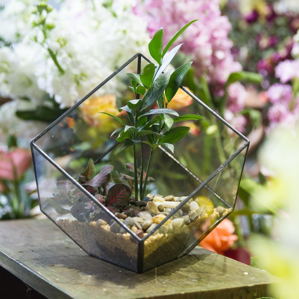 Handmade Inclined Cube Glass Geometric Terrarium Box Various Size Door Available for Succulent Moss - ncypgarden.uk