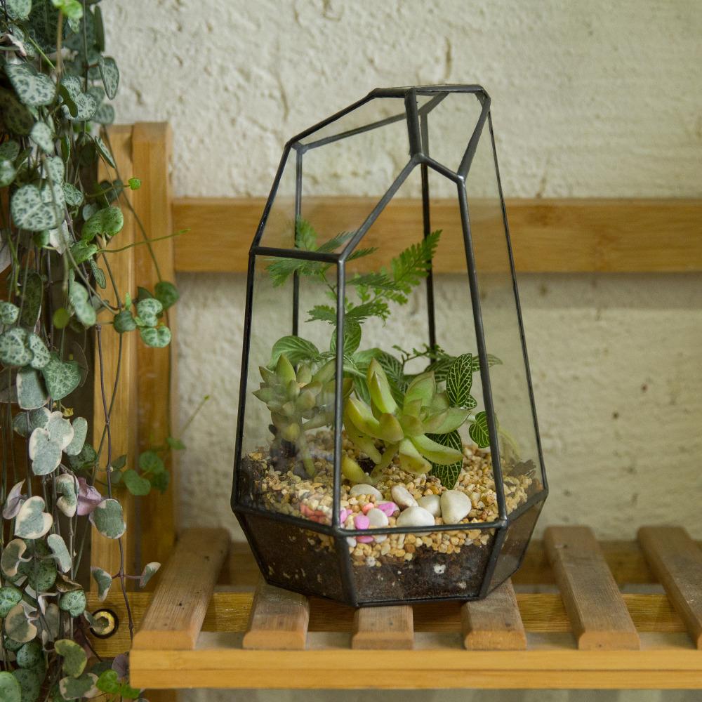 Handmade Black Various Size Irregular Tall Geometric Glass Terrarium Garden Succulents - ncypgarden.uk