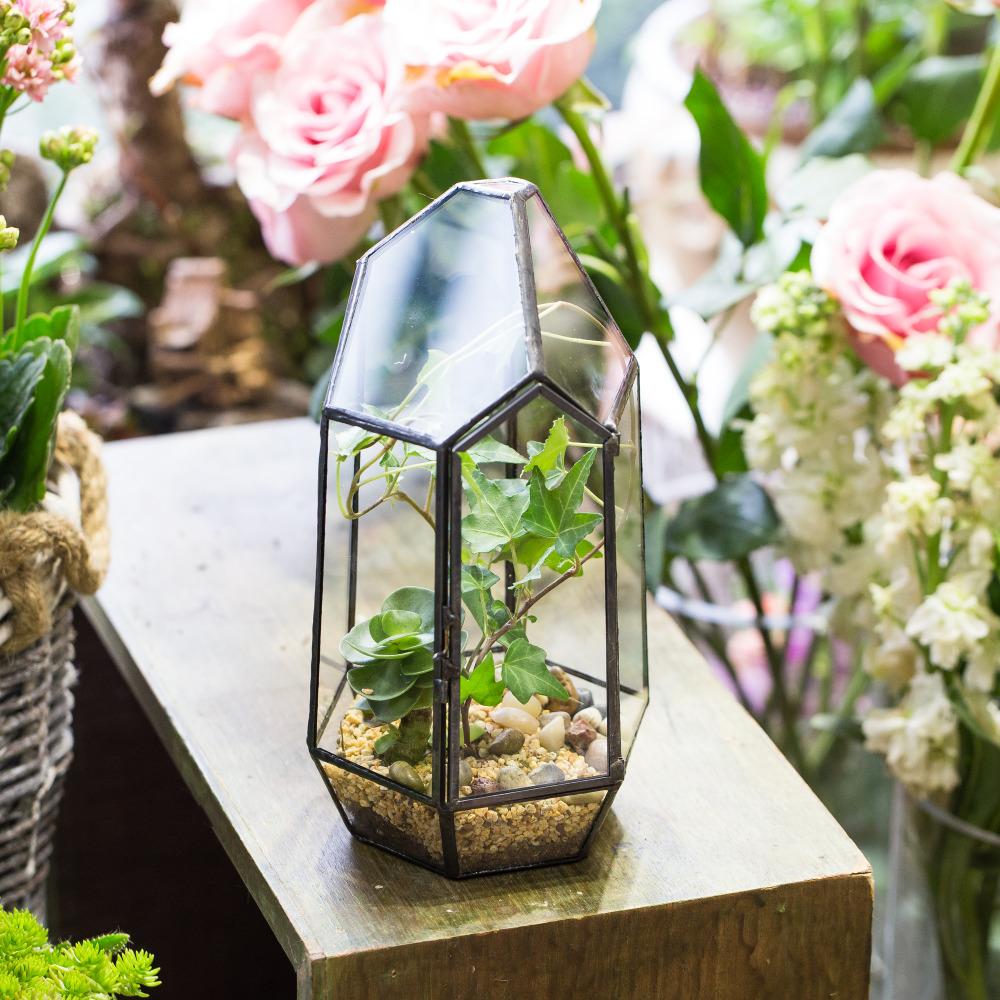 Handmade Black Various Size Irregular Tall Geometric Glass Terrarium Garden Succulents - ncypgarden.uk
